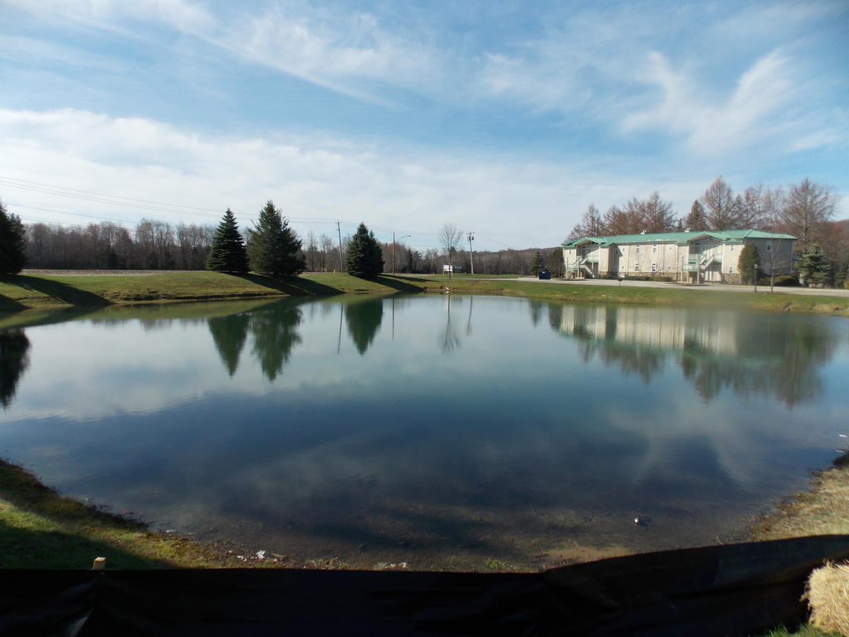 Fairway Suites At The Peak French Creek 外观 照片